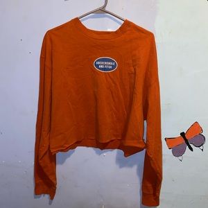 Abercrombie and fitch vintage top